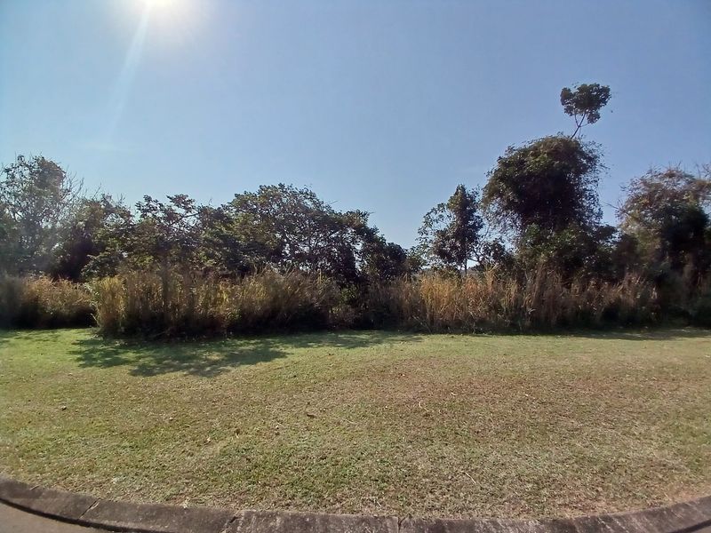 A view of a residential vacant land plot featuring a maintained lawn area, mature trees, and a concrete curb border.