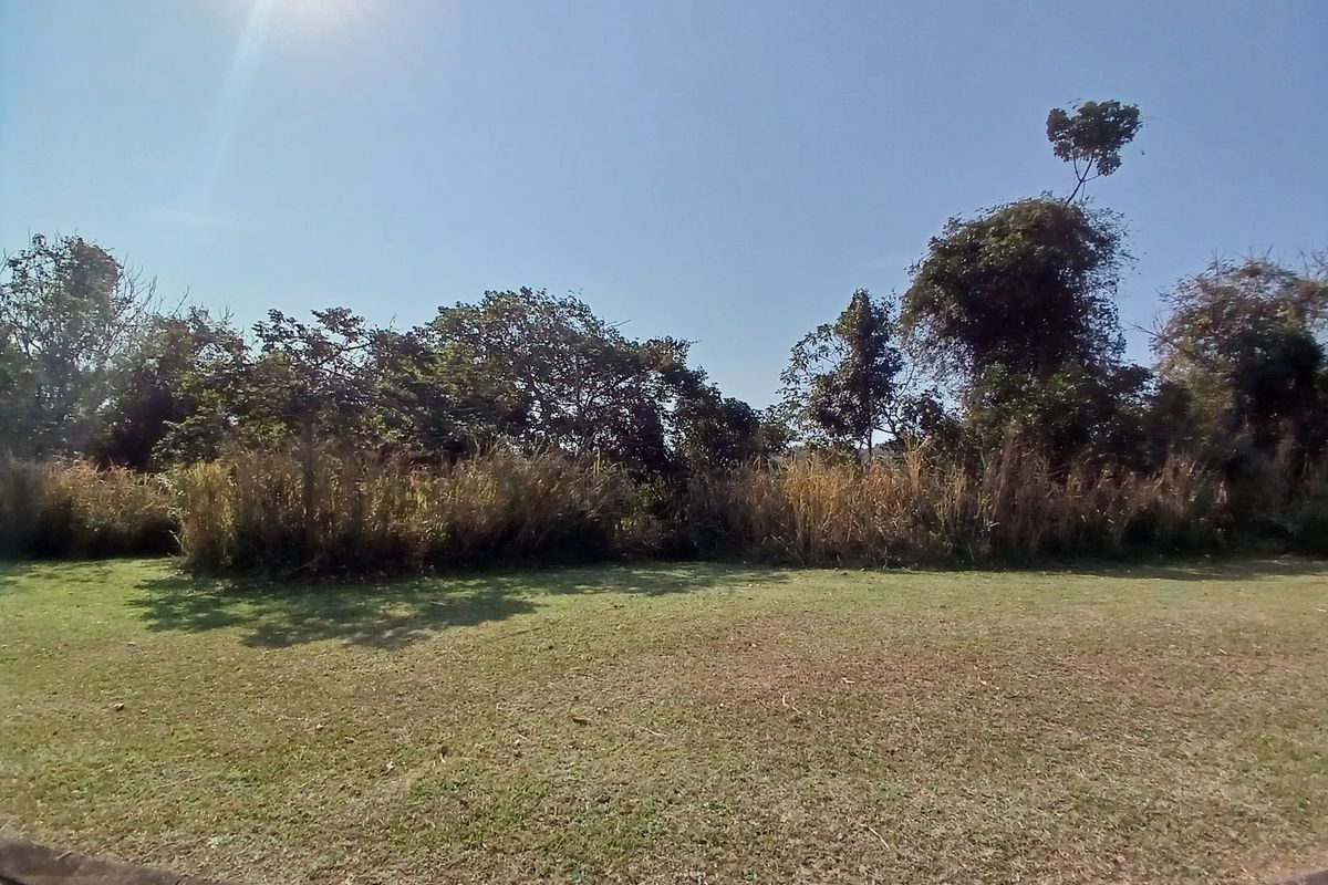 A view of a residential vacant land plot featuring a maintained lawn area, mature trees, and a concrete curb border.