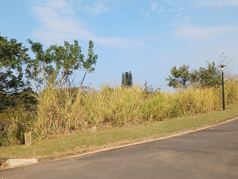 A view of the vacant residential land plot from the adjacent asphalt road, featuring established grass and trees.