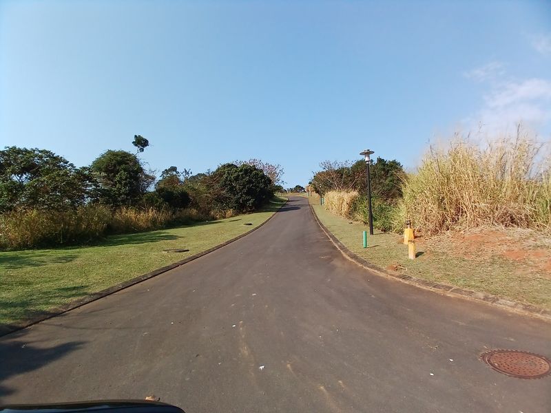 A view of a paved residential street with manicured grass verges and established street lighting in a quiet neighborhood setting.