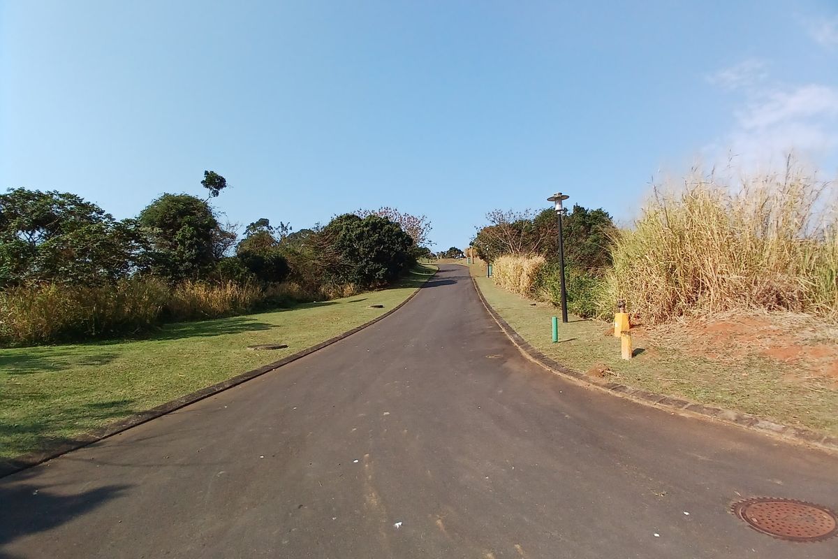 A view of a paved residential street with manicured grass verges and established street lighting in a quiet neighborhood setting.
