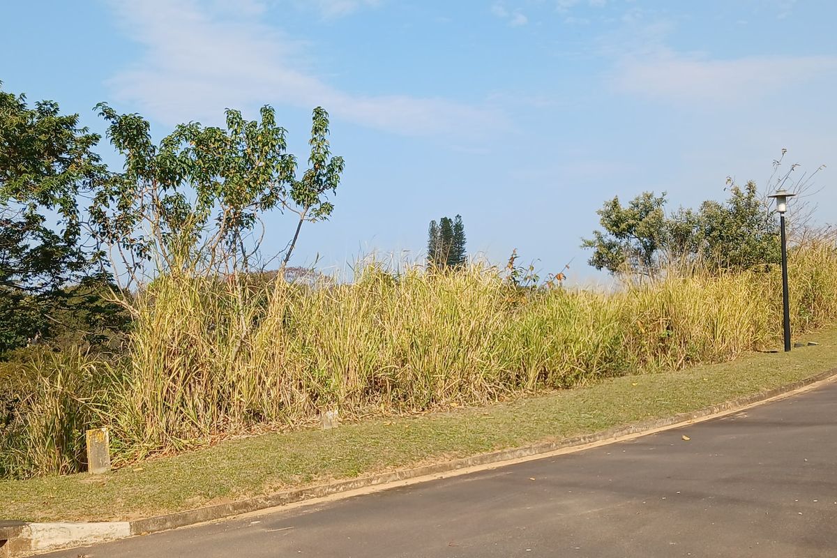 A view of the vacant residential land plot from the adjacent asphalt road, featuring established grass and trees.