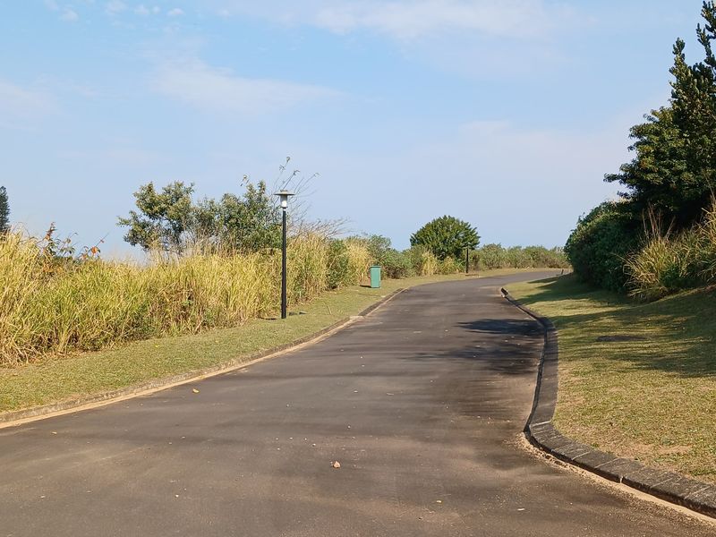 A paved residential street with concrete curbing and street lighting, surrounded by landscaped verges and natural vegetation.
