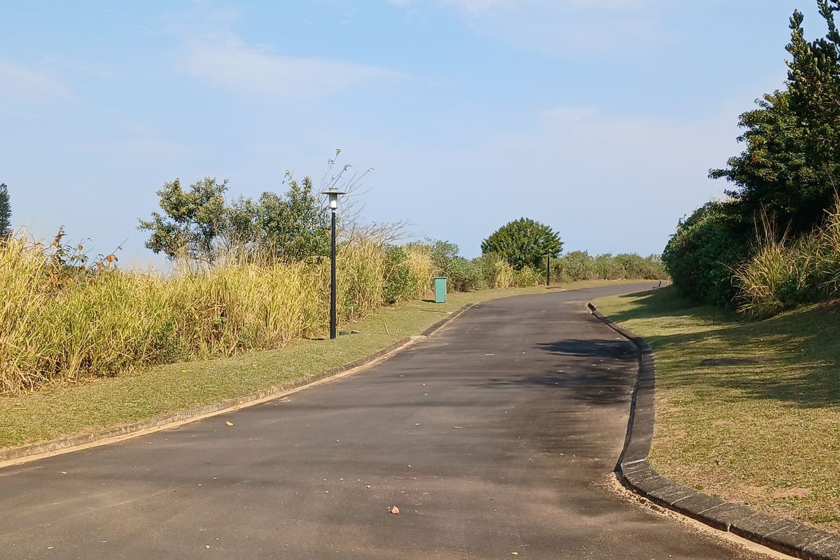 A paved residential street with concrete curbing and street lighting, surrounded by landscaped verges and natural vegetation.