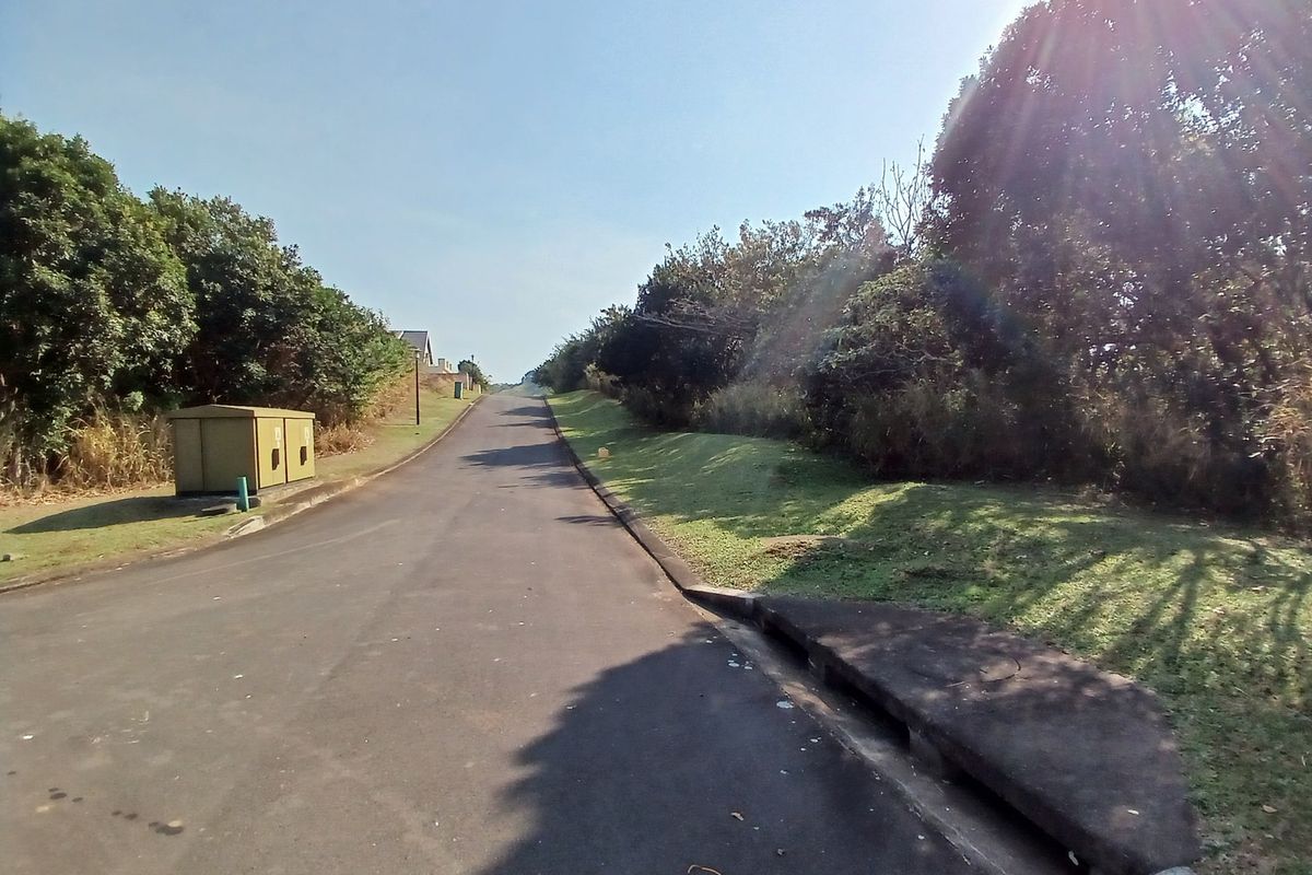 A view of the paved residential street and verge, featuring established trees and utility infrastructure along the roadside.