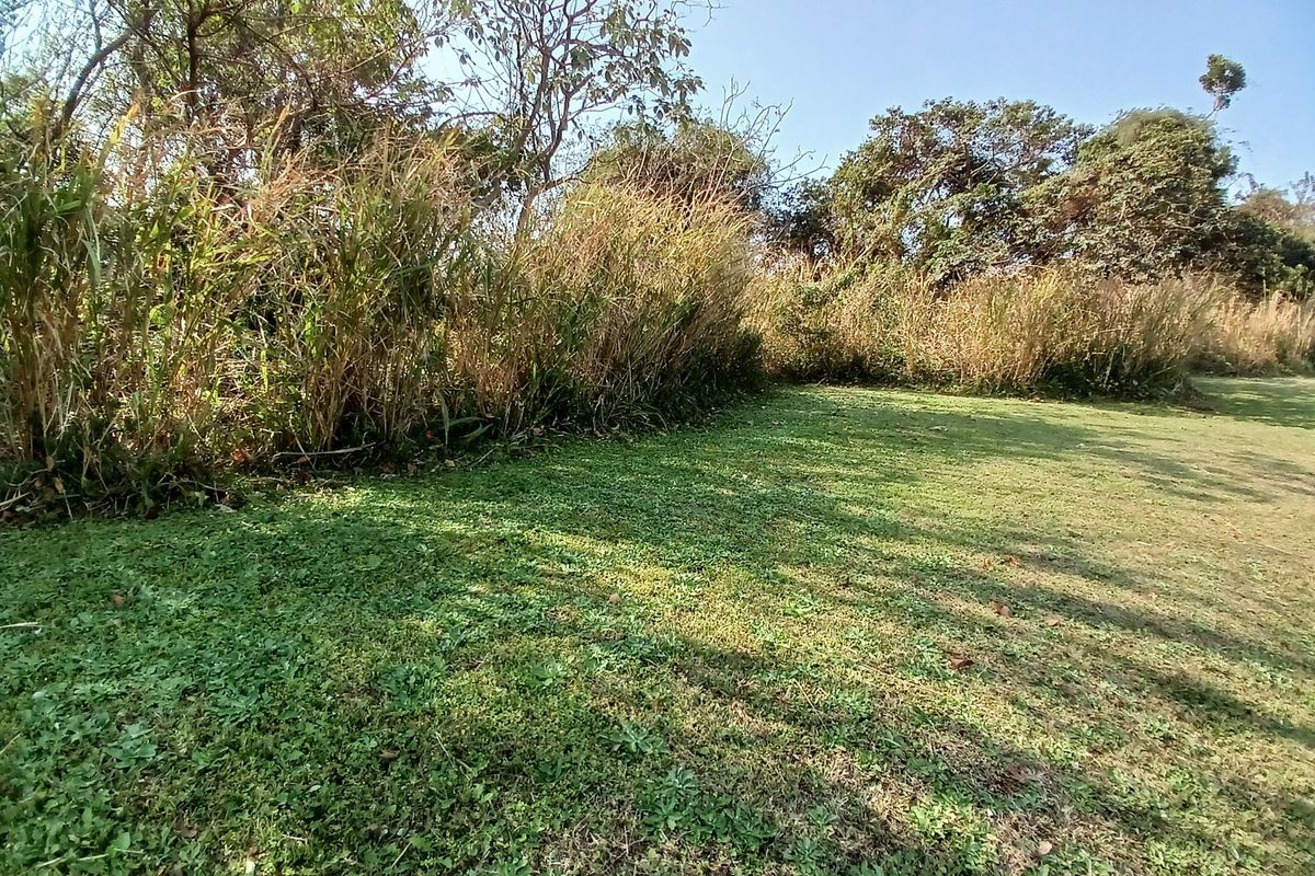 A view of a grassy residential plot featuring mature trees and natural landscaping.