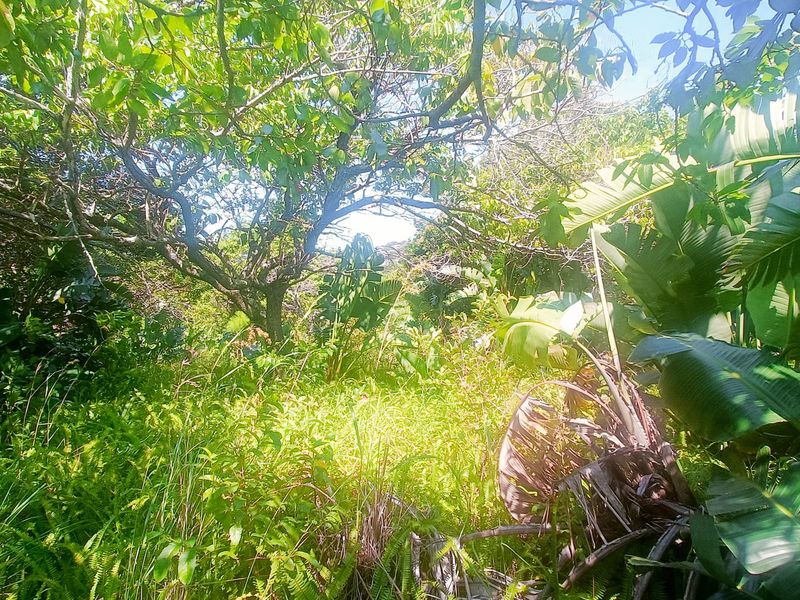 Vacant Land For Sale In Southbroom - Photo 9