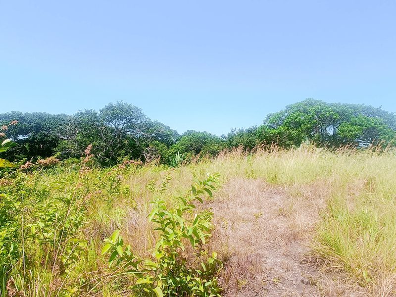 Vacant Land For Sale In Southbroom - Photo 8