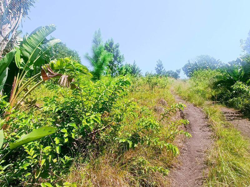 Vacant Land For Sale In Southbroom - Photo 1