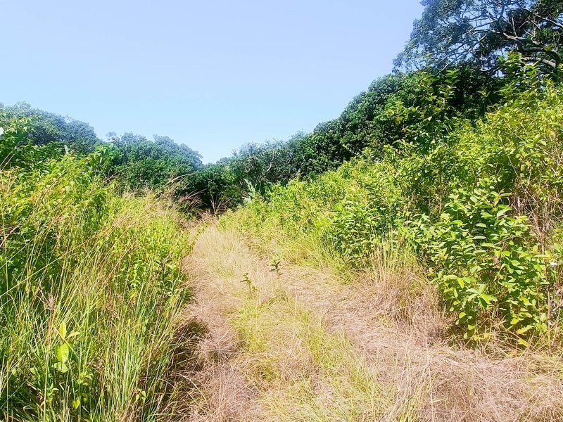 Vacant Land For Sale In Southbroom - Photo 5