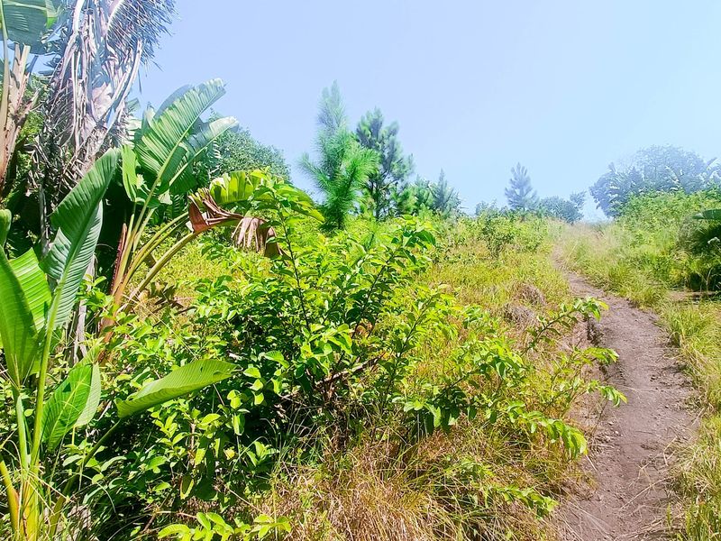 Vacant Land For Sale In Southbroom - Photo 2