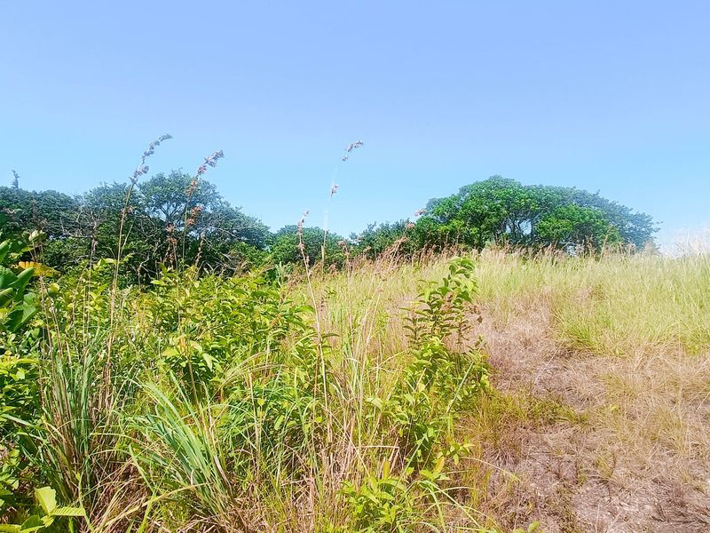 Vacant Land For Sale In Southbroom - Photo 3