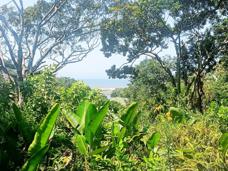 Vacant Land For Sale In Southbroom - Photo 4