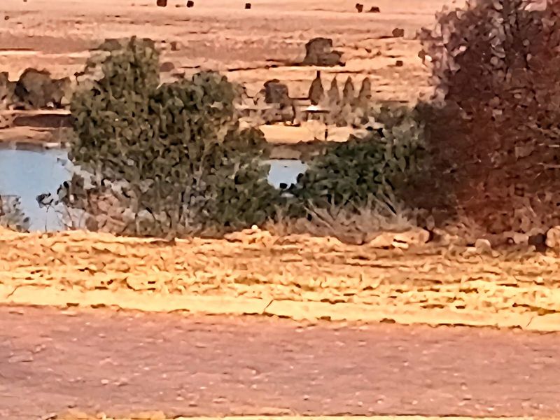 Vacant Land Pending Sale In Bronkhorstspruit - Photo 2