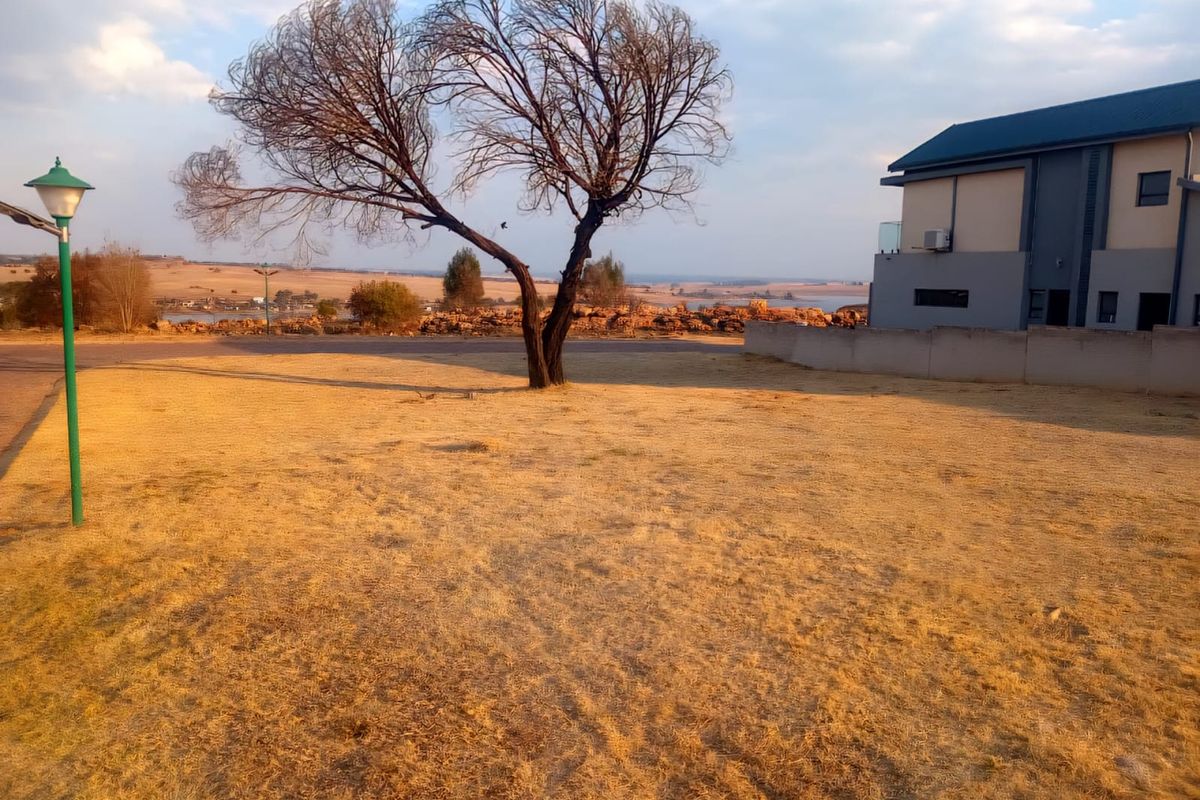 A view of a residential garden area featuring a mature tree, a garden light, and a boundary wall with a neighboring building in the background.