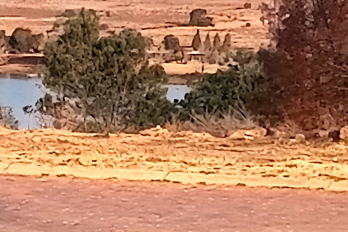 A distant view of a natural landscape featuring trees and a small water body, typical of vacant residential land surroundings.