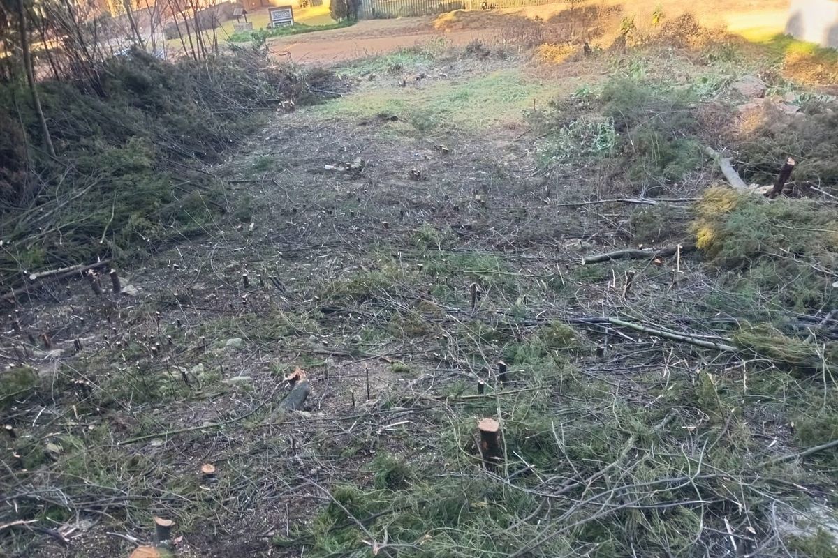 A sloped residential plot showing recent vegetation clearing and debris, ready for landscaping or development.