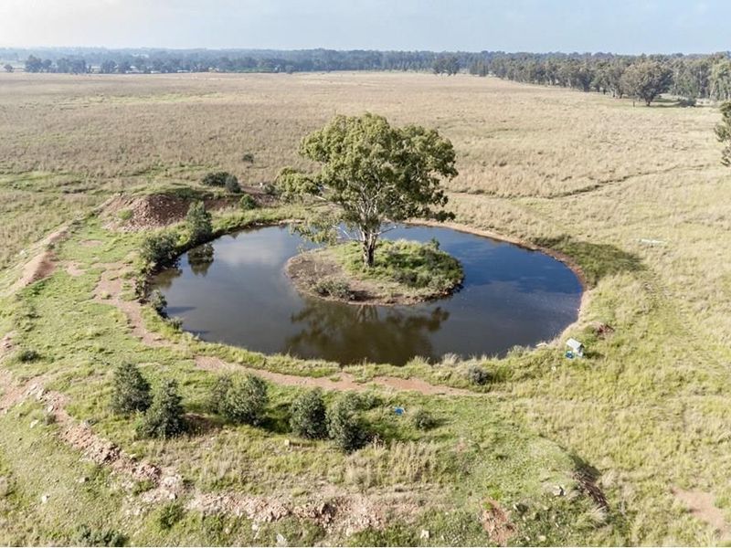 Aerial view of a circular farm dam featuring a central island with a mature tree, surrounded by expansive open grazing pasture.