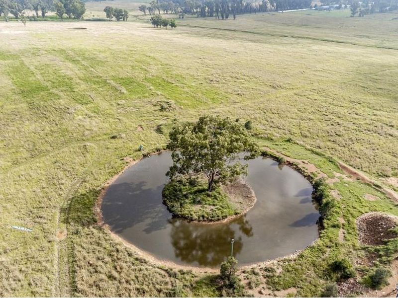 Aerial view of a circular farm dam featuring a central island with a mature tree, set within expansive open grazing land.