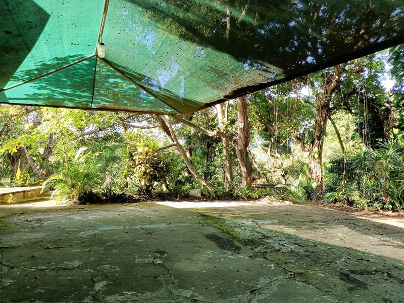 An outdoor patio area featuring a shade cloth covering and concrete paving, set within a lush, mature garden environment.
