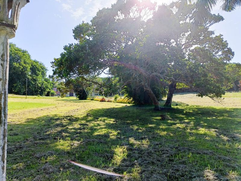 A spacious, well-maintained garden area featuring mature trees and expansive lawn space, providing a peaceful outdoor setting.