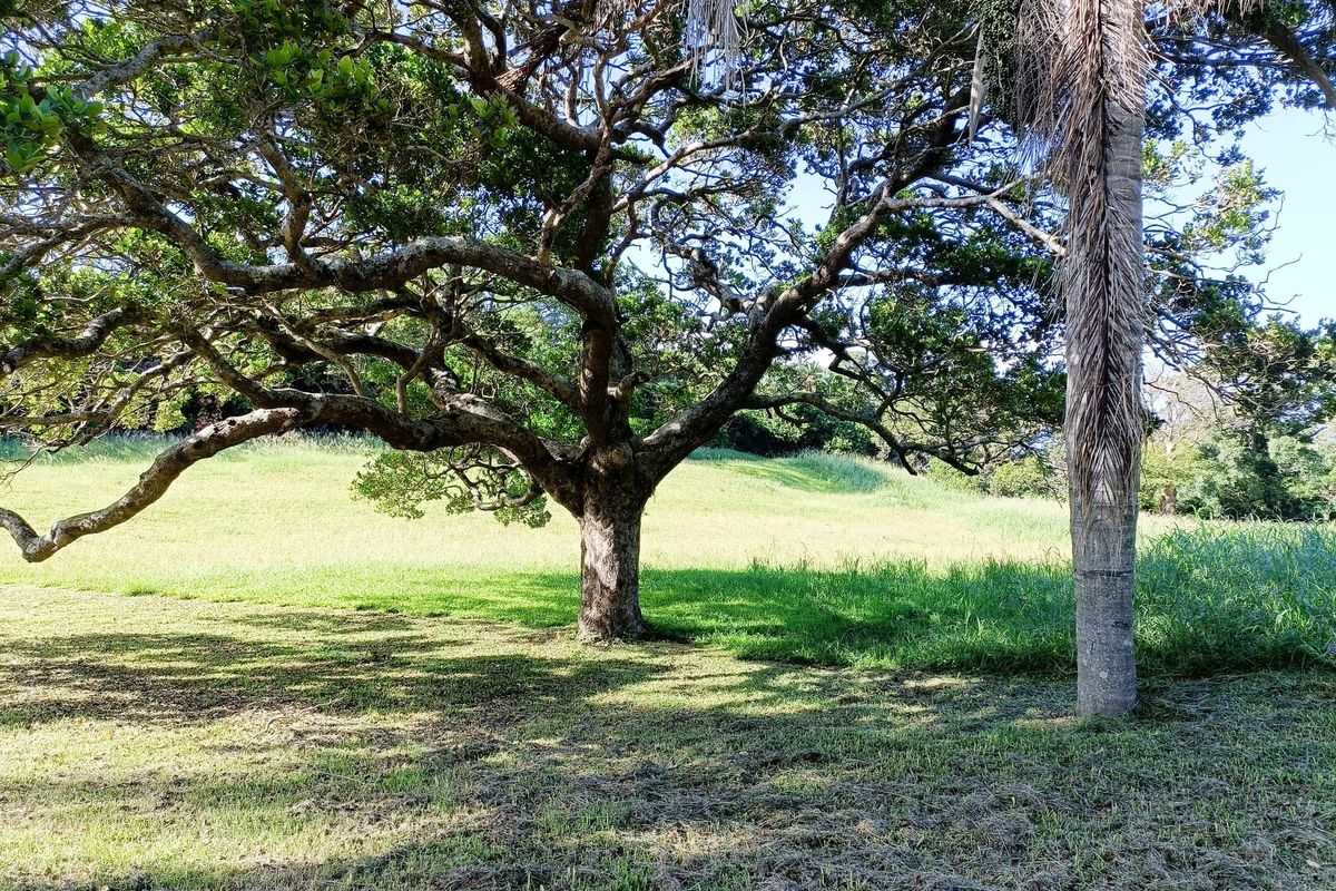 A spacious, well-maintained garden area featuring mature trees and expansive lawn space.