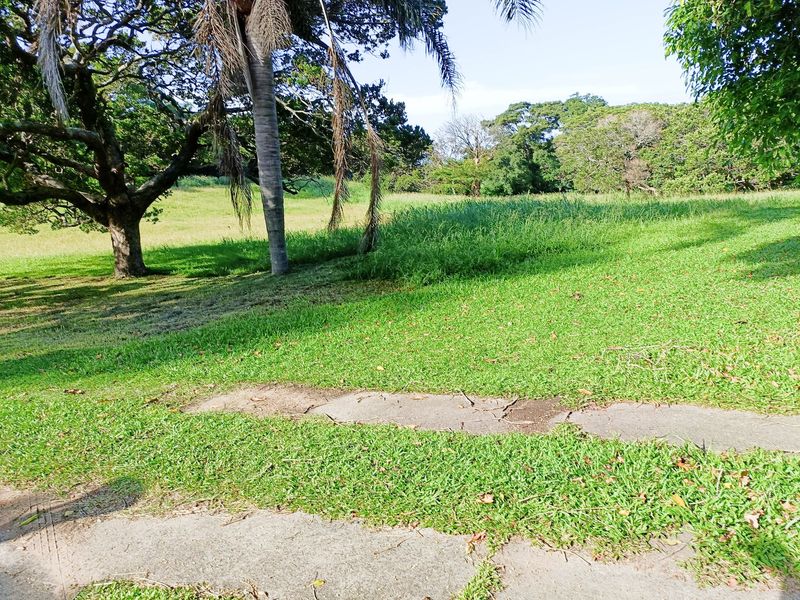 A spacious garden area featuring mature trees, a well-maintained lawn, and concrete pathways.