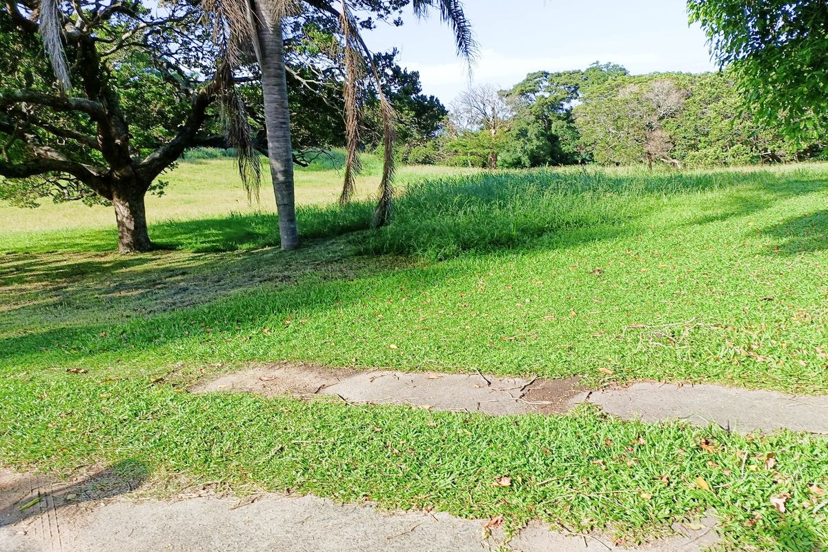 A spacious garden area featuring mature trees, a well-maintained lawn, and concrete pathways.