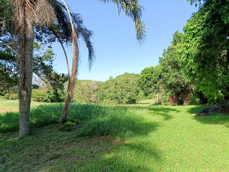 A spacious, established garden area featuring mature trees and a large lawn, offering a natural and private outdoor setting.