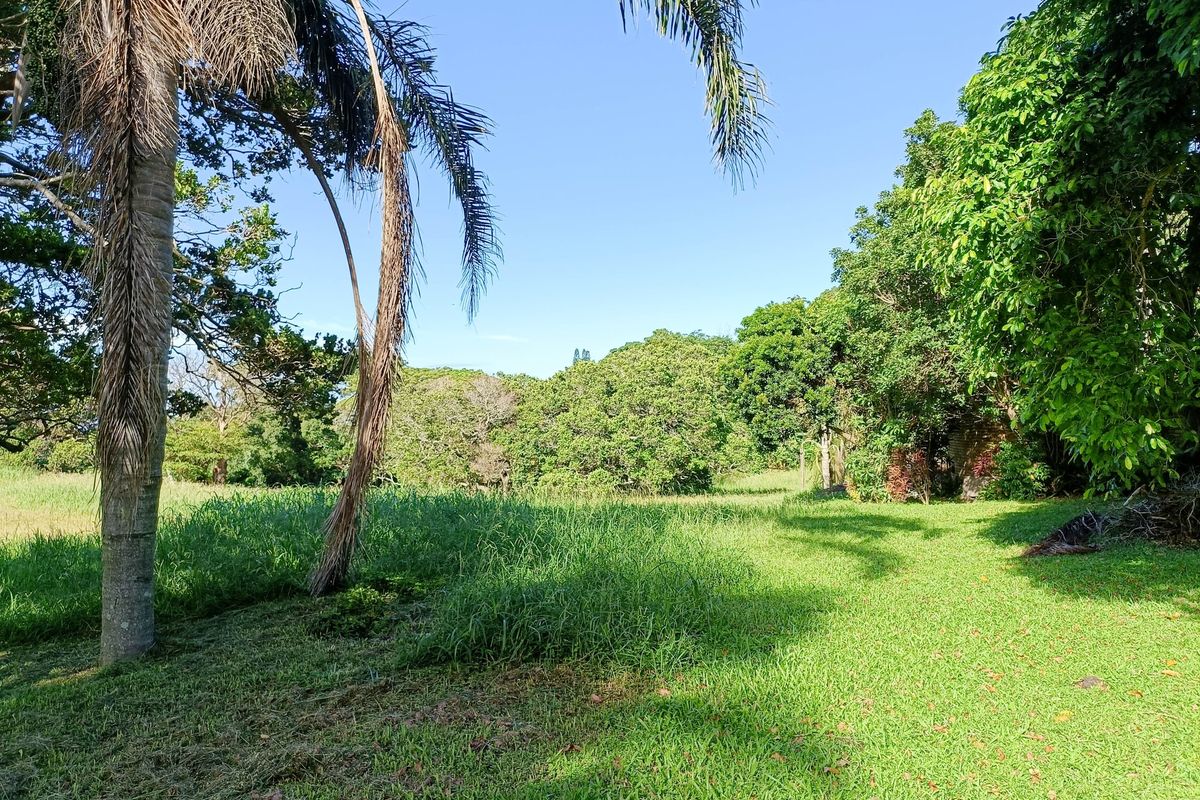 A spacious, established garden area featuring mature trees and a large lawn, offering a natural and private outdoor setting.