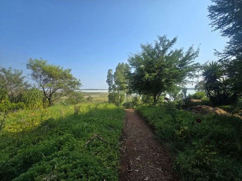 A scenic view of a natural landscape featuring a gravel pathway leading through a lush, established garden towards a distant water body.