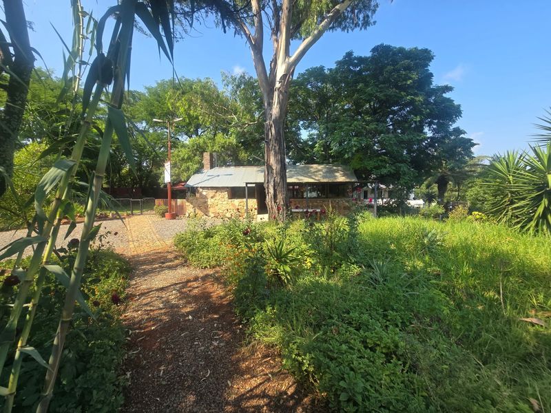 A view of the rear garden featuring a stone-clad structure with a corrugated metal roof, surrounded by mature trees and a brick pathway.
