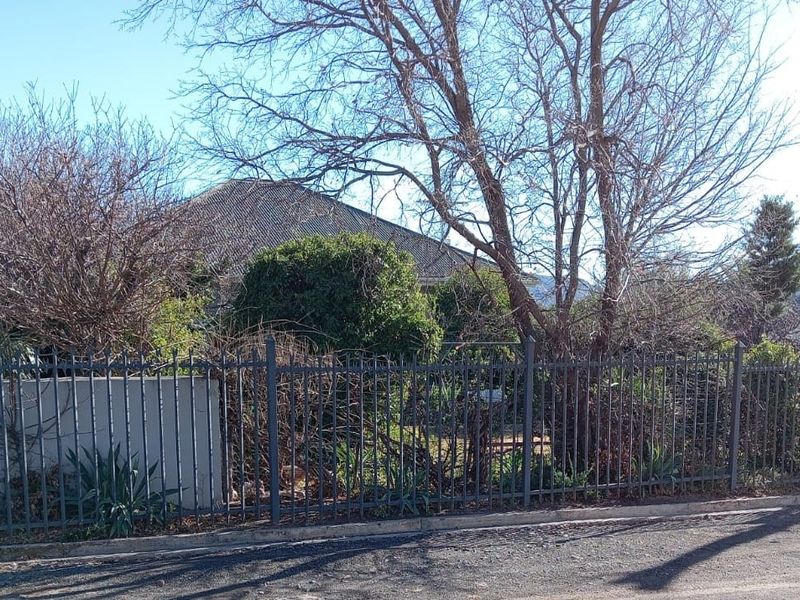 Front view of the property featuring a metal perimeter fence, concrete boundary wall, and a tiled roof obscured by overgrown trees and vegetation.