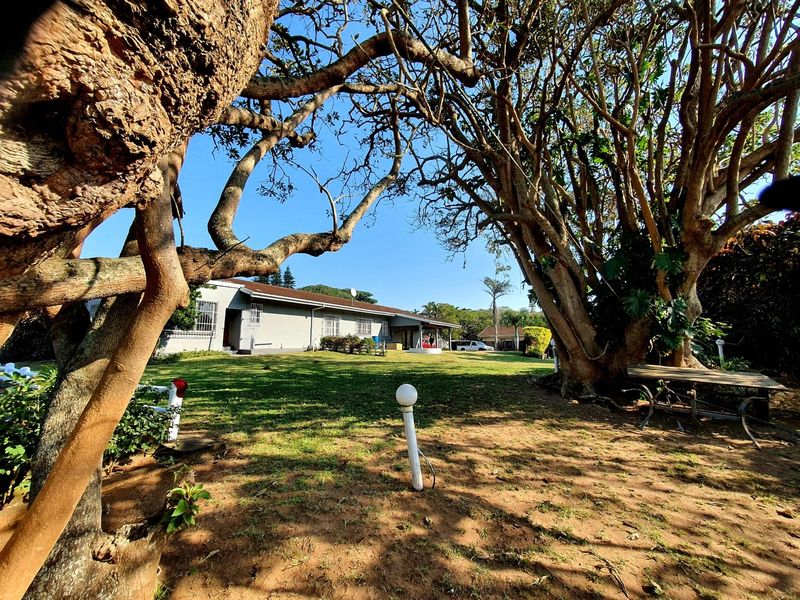 A spacious rear garden featuring mature trees, a well-maintained lawn, and a view of the property's rear elevation.