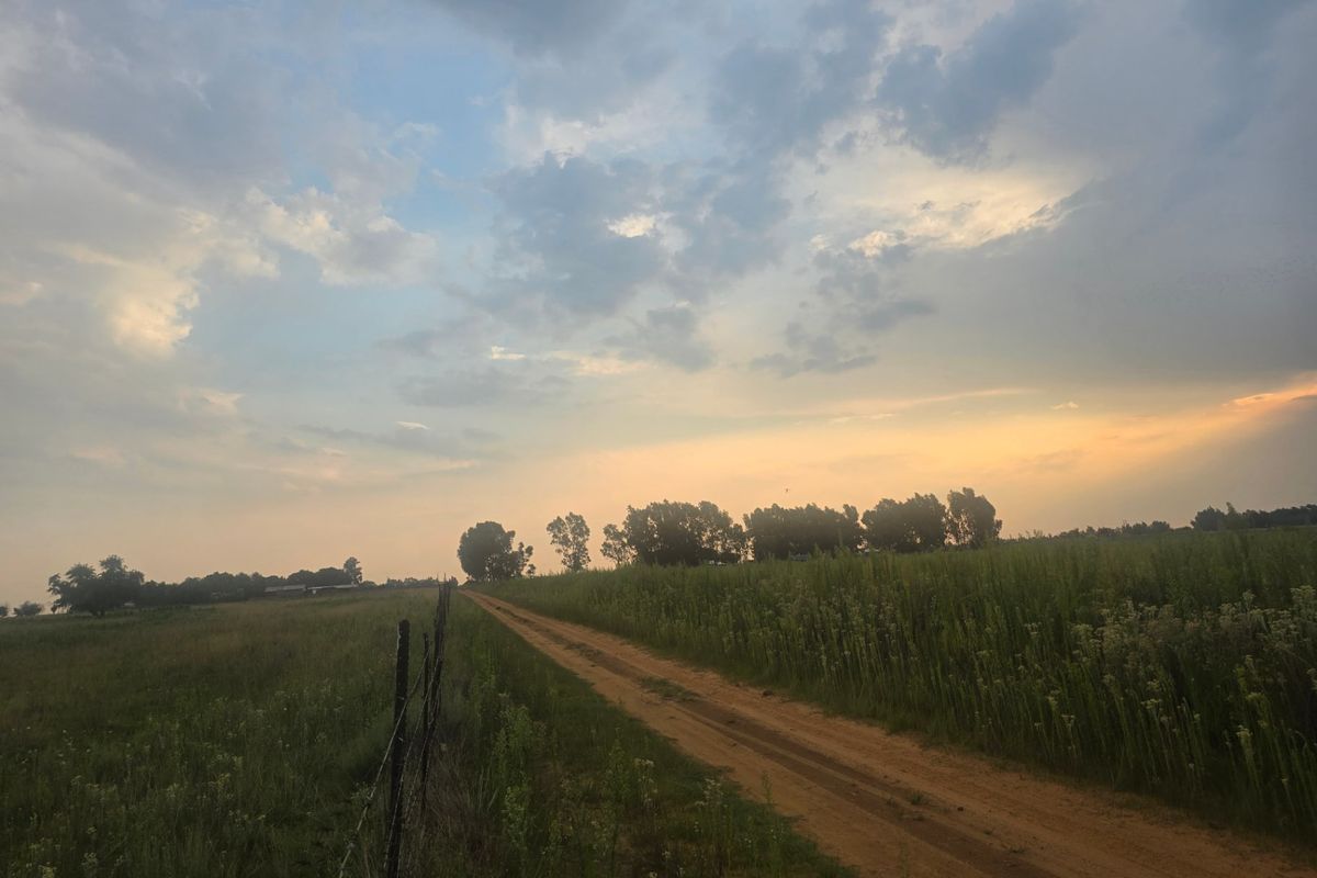 Farm For Sale In Bronkhorstspruit - Photo 5