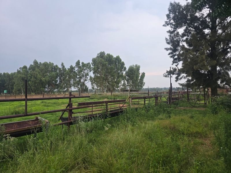 Farm For Sale In Bronkhorstspruit - Photo 7