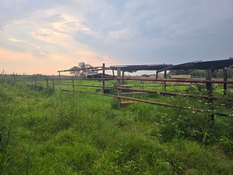 Farm For Sale In Bronkhorstspruit - Photo 6