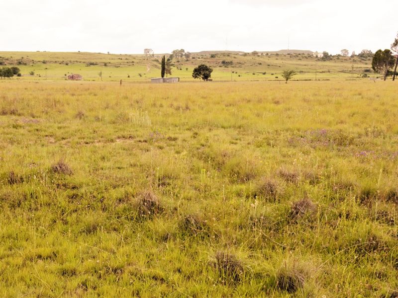 A wide-angle view of expansive, undeveloped residential land featuring natural grassland and distant rural landscape.