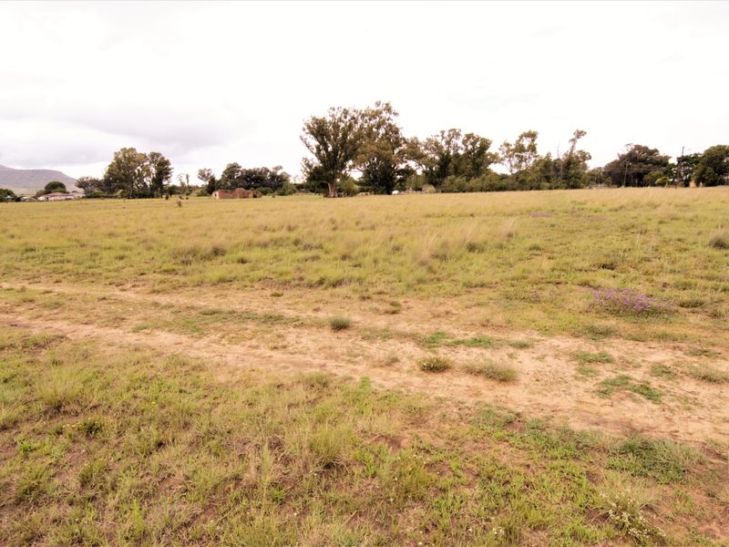 A wide, open residential plot featuring natural grassland and mature trees, offering a blank canvas for future development.