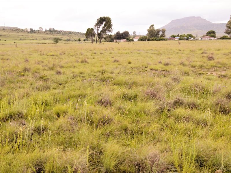A wide-angle view of a vacant residential plot featuring natural grassland and distant mountain views.