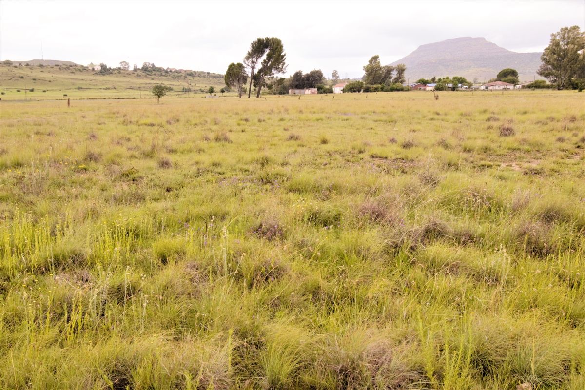 A wide-angle view of a vacant residential plot featuring natural grassland and distant mountain views.