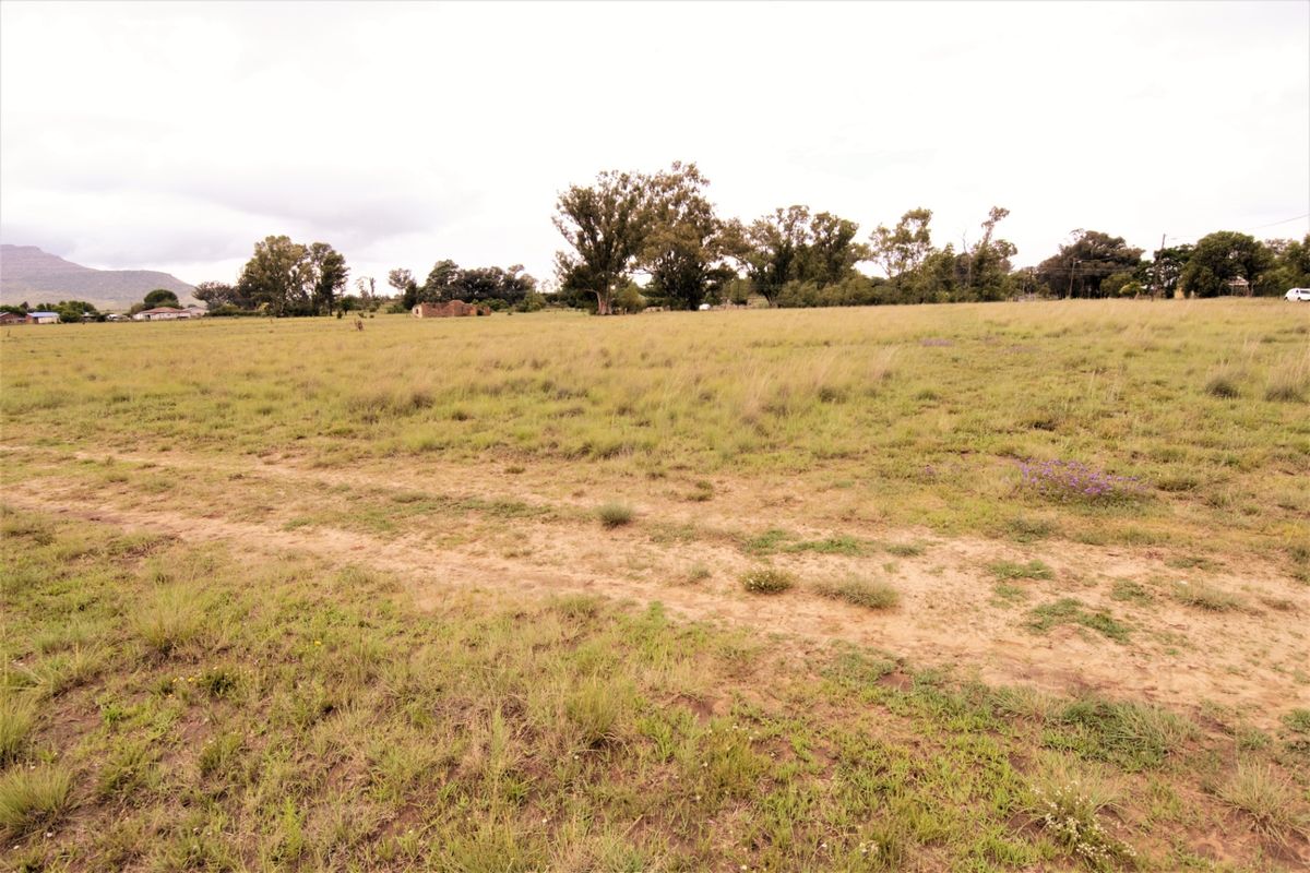 A wide, open residential plot featuring natural grassland and mature trees, offering a blank canvas for future development.