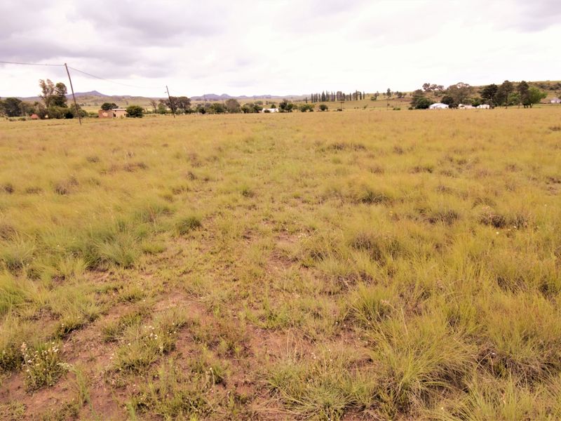 A wide-angle view of a large, undeveloped residential plot featuring natural grassland and distant rural landscape views.