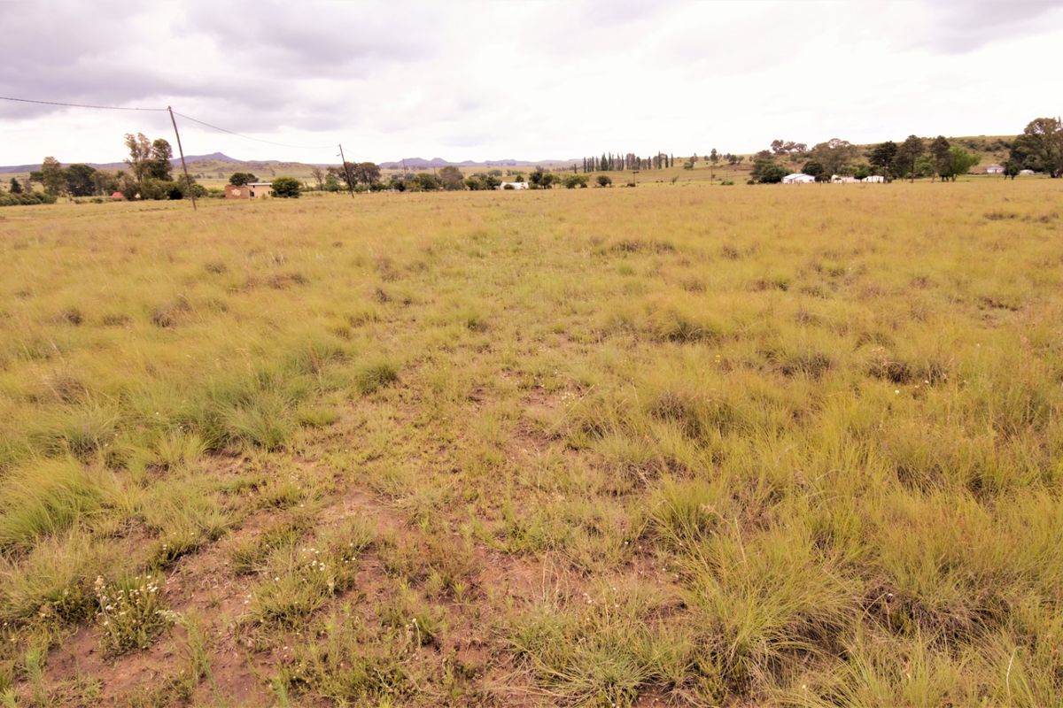 A wide-angle view of a large, undeveloped residential plot featuring natural grassland and distant rural landscape views.