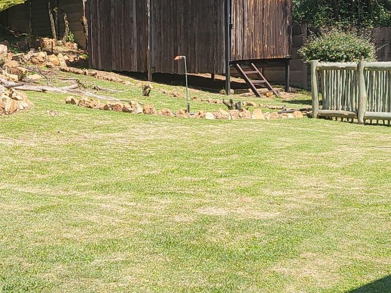A spacious backyard garden featuring a raised wooden shed, timber fencing, and natural stone landscaping elements.