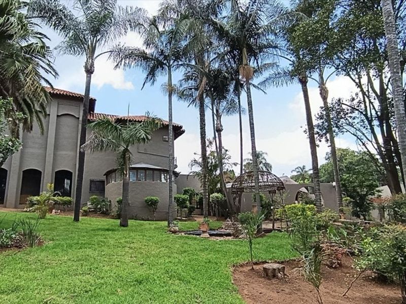 A spacious rear garden featuring mature palm trees, a well-maintained lawn, and a decorative wrought iron gazebo set against the property's stucco exterior.