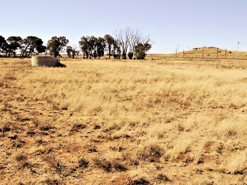 Vacant Land For Sale In Springfontein - Photo 5