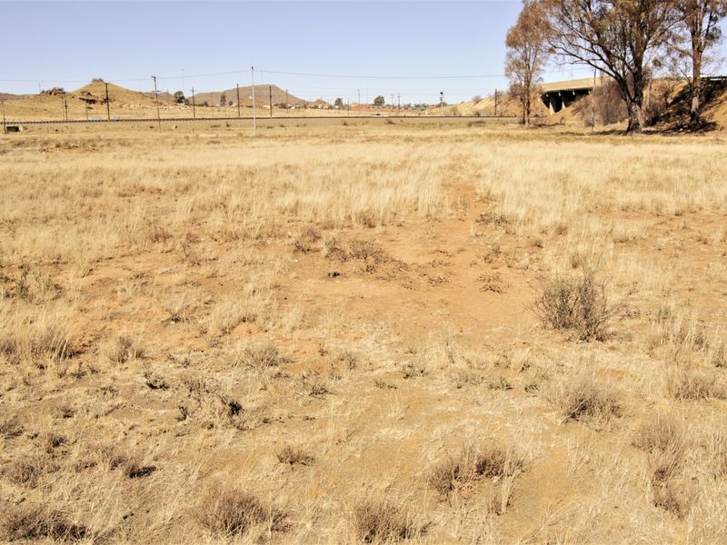 Vacant Land For Sale In Springfontein - Photo 4