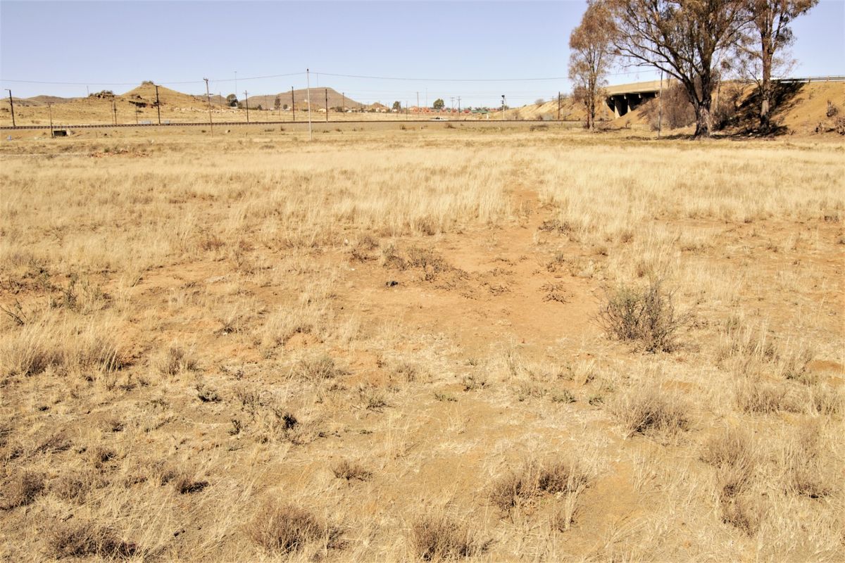 A wide-angle view of a vacant residential plot featuring dry grass and mature trees, with distant road infrastructure visible in the background.