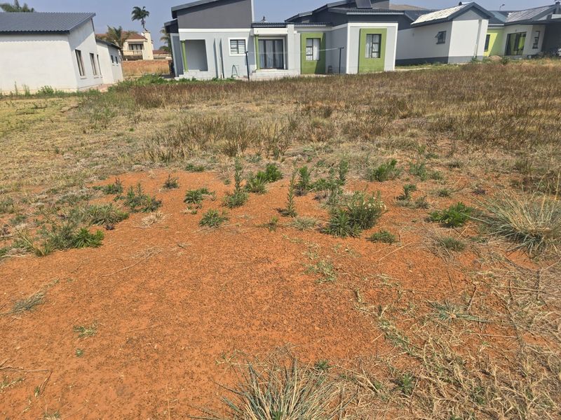 Vacant Land Pending Sale In Rayton - Photo 10